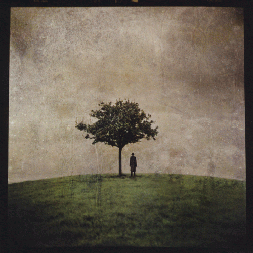 Ana Kefr : The Burial Tree (II)